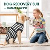 Kuoser Dog Bodysuit After Op, Surgical Body Dog Cat Bodysuit,