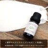 White Sage Essential Oil Aroma Oil 10ml Essential Oil 100%
