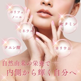 HERBHOLIC Herbal Tea [Beauty Charge/Vitamin Plenty Blend] Rooibos Tea Contains 6 Types of Herbs such as Rose Hip, Hibiscus and Other Herbs, Soylon Tea Bag 0.1 oz (2.5 g) x 15 Packs