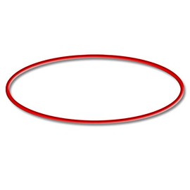 Replacement Part: SunSun CSF 500 Pond Sand Filter O-Ring 1