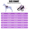 Bolux Dog Harness, No-Pull Reflective Dog Vest, Breathable Adjustable Pet