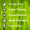 Litsea Cubeba 100% Pure Essential Aromatherapy Oil 100ml