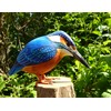 Hand Carved Wooden Bird (Kingfisher)