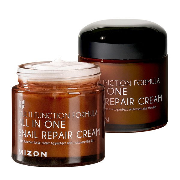 MIZON All in One Snail Repair Cream, Face Moisturizer with Snail Mucin Extract, Recovery Cream, Korean Skincare, Wrinkle & Blemish Care (2.53 Fl Oz Pack of 1)