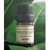 Dionel Secret Love Berryholic 5ml