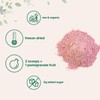 Micro Ingredients Organic Pomegranate Juice Powder Healthcare Vitamin