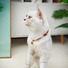 PetsMeow Breakaway Cat Collar. Japanese Plum Blossom Bell & Chic