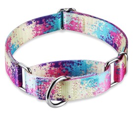 Dazzber Martingale Dog Collars Colourful Oil Painting Pattern Series - No Pull Pet Collar Silky Soft for Medium and Large Dogs (Small, 5/8 Inch Wide, Profusion Colorful)