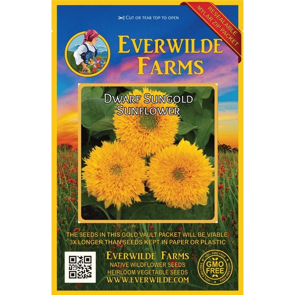 Everwilde Farms - 100 Dwarf Sungold Sunflower Wildflower Seeds -