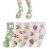 5 Pieces Of Fruit Print Socks, Coral Fleece Socks, Warm