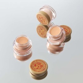 Skinfood [Skinfood] Renewal_Salmon Concealer (Color Selection) - No. 1/Blooming / [스킨푸드] 리뉴얼_연어 컨실러 (컬러선택) - 1호/블루밍
