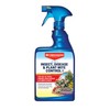 BioAdvanced 3-in-1 Insect, Disease & Plant Mite Control, Ready-to-Use, 24