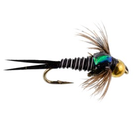 The Fly Fishing Place Bead Head Zebra Copper John Nymph Fly Fishing Flies - Set of 6 Flies Hook Size 16