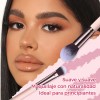 Brochas De Maquillaje Profesional Kit 27 Pcs Con 18 Brochas
