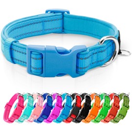 azuza Reflective Dog Collar,Soft Neoprene Padded Pet Collar with ID Tag Ring,Adjustable for Puppy and Small Dogs,Sky Blue,XS