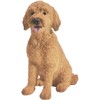 Sandicast Small Size Goldendoodle Sculpture, Sitting