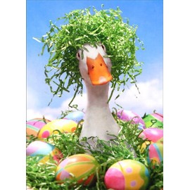 Duck w/Easter Grass Wig Funny Goose Easter Card