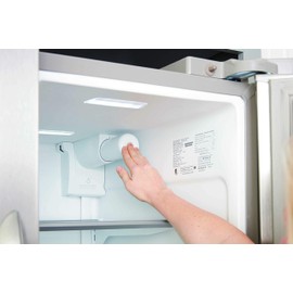 Frigidaire ULTRAWF PureSource Ultra Water and Ice Refrigerator Filter, Original, 1 Count