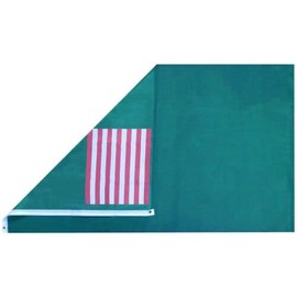 3x5 Delaware Militia 1776 Green Premium 100D 3'x5' Woven Poly Nylon Flag Banner