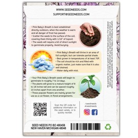 Seed Needs Pink Baby's Breath Seeds for Planting Rosy Pink Blooms - Heirloom & Open Pollinated Wildflowers to Attract Pollinators to a Butterfly Garden - Great for Cut Flowers (1 Pack)