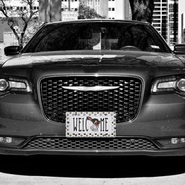 Welcome Dog Car License Plate Frames Holders Dog Breeds Dog Photograph Paws Footprint Cute Automotive Accessories Pet Dog Lover Gifts for Men Women Car, Truck Metal with Holes Rattle-Proof