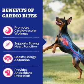 Wellix 260g Cardio Taurine for Dogs - Heart Supplements for Dog Chews with CoQ10,Fish Oil,L-Carnitine - Senior Heart Health and Cardiovascular & Antioxidant Support