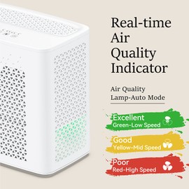 YIOU Air Purifier H13 True HEPA Filter Air Purifiers for Home up to 269 Square Feet 2,500 Liters Free Air Per Minute Remove 99.98% Smoke Dust Allergies Bacteria Smart Auto Mode 20db Air Filter, White