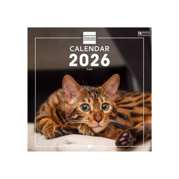 Finocam - Wall Calendar 2026 18x18 cm Month to View