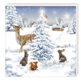 Tracks Charity Pack Of 5 Christmas Cards British Heart Foundation Twilight Animals
