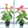 Artificial Flower Living Room Decorative Flowers Plastic Flowers Simulation Potted