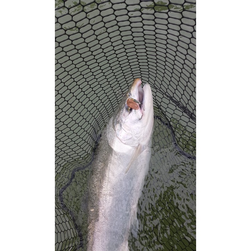 Prime Lures Weighted Fishing Spinners Real Silver (Orange, Silver, Chartreuse,