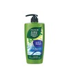 Follow Me Green Tea Shampoo 650ml (6-in-1)