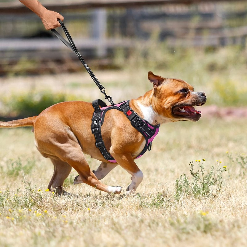 PoyPet No Pull Dog Harness, Front Reflective Pet Vest for