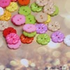 Acxico 100Pcs Flower Plastic Buttons 1/2'' (15mm) Craft, Multi-Color (YY879)