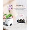 Meshpot 6 inch Orchid Pots with Holes for Repotting with