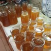 Rent A Hive Killer Bee HONEY The best HONEY ON
