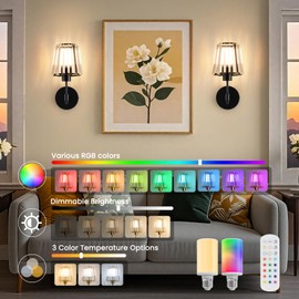 EIDISUNY Battery Operated Crystal Wall Sconces Set of 2, Wireless Wall Lamp with RGB Rechargeable Dimmable Bulbs, Modern Wall Sconce with Remote for Bedroom, Living Room, Bulbs Included(Black)
