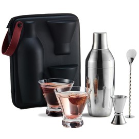 KITESSENSU Cocktail Shaker Set with Carry Case: Vacuum Insulated Martini Shaker with Built-in Strainer, 2 Martini Glasses, Measuring Jigger, Bar Mixing Spoon & Cocktail Recipes, Travel Bar Tool Set