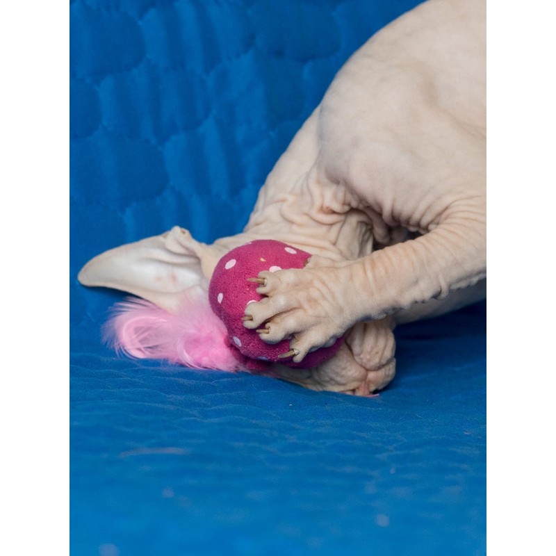 Nekomote Ball with Wings