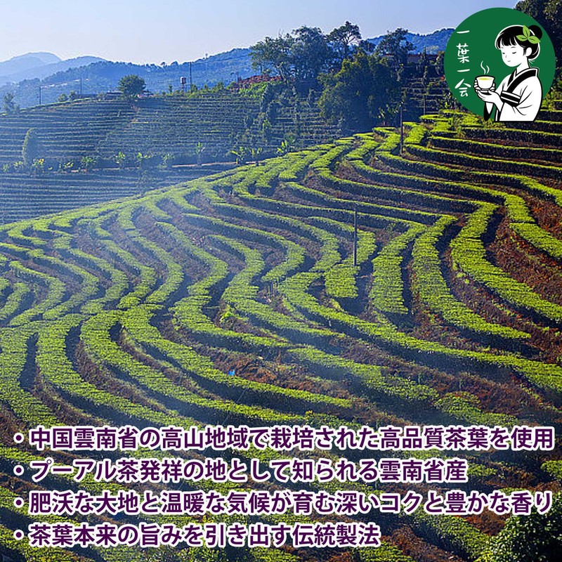 Pu'er Tea Glutinous Rice Pu'er Tea, Glutinous Rice Flavor, Glutinous