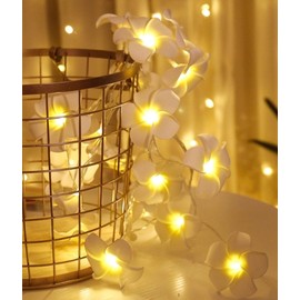 Aquamy Plumeria Garland, String Light, Indoor, LED, Flower Decoration, Artificial Flower, Party, Birthday, Decoration (Yellow)