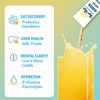Bye-Bye Weekend Bye-Bye Weekend Recovery & Hydration Drink Mix -
