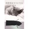 Nana Perfect Sleep 3D Light Blocker Sleeping Eye Mask 3D