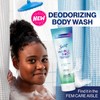 Secret Feminine Wash, 24 HR Deodorizing Feminine Body Wash for