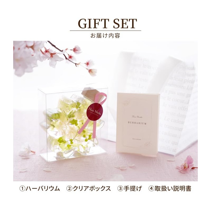 Flower Marika Cherry Blossom Herbarium Birthday Gift Sakura Katachi (Hizakura