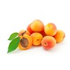 Ayursana - Organic Apricot Kernel Oil (250 ml)