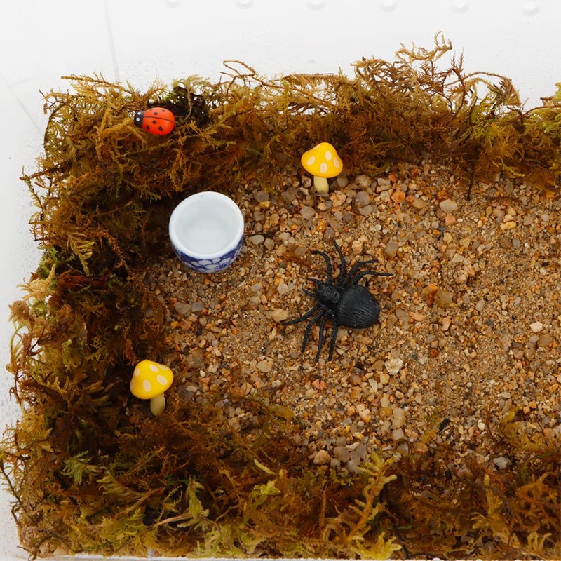 DQITJ 9 Pcs Spider Micro Ceramic Water Bowl, Hermit Crab