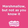 Mallow & Marsh Vanilla Marshmallow Bars - Multipack 12 x