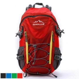 38L Challenger Will Power Blue