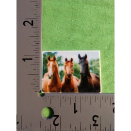 Horse Planar Resin Set